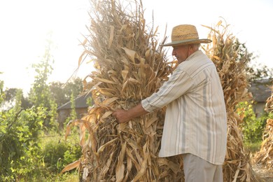 Photo of Senior man in straw hat with pile of hay outdoors