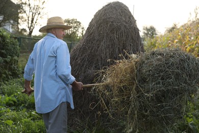 Senior man in straw hat pitching hay on farmland