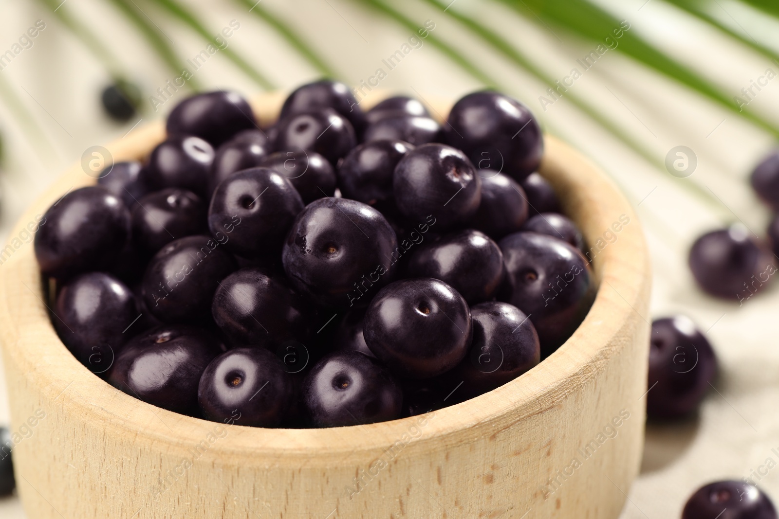 Photo of Ripe acai berries in bowl on table, closeup