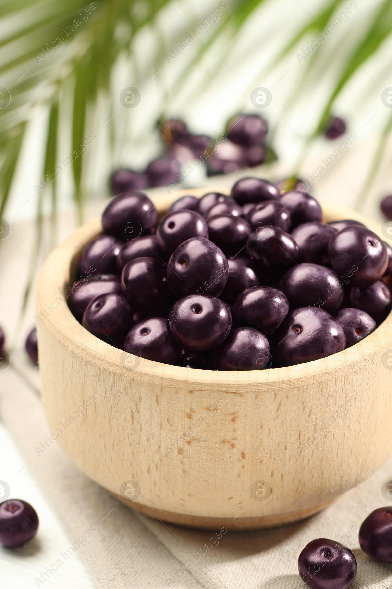 Photo of Ripe acai berries in bowl on light table, closeup