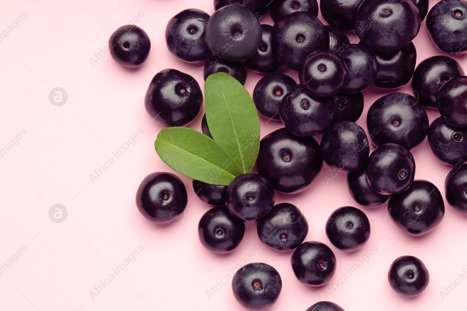 Photo of Ripe acai berries and leaves on pink background, flat lay