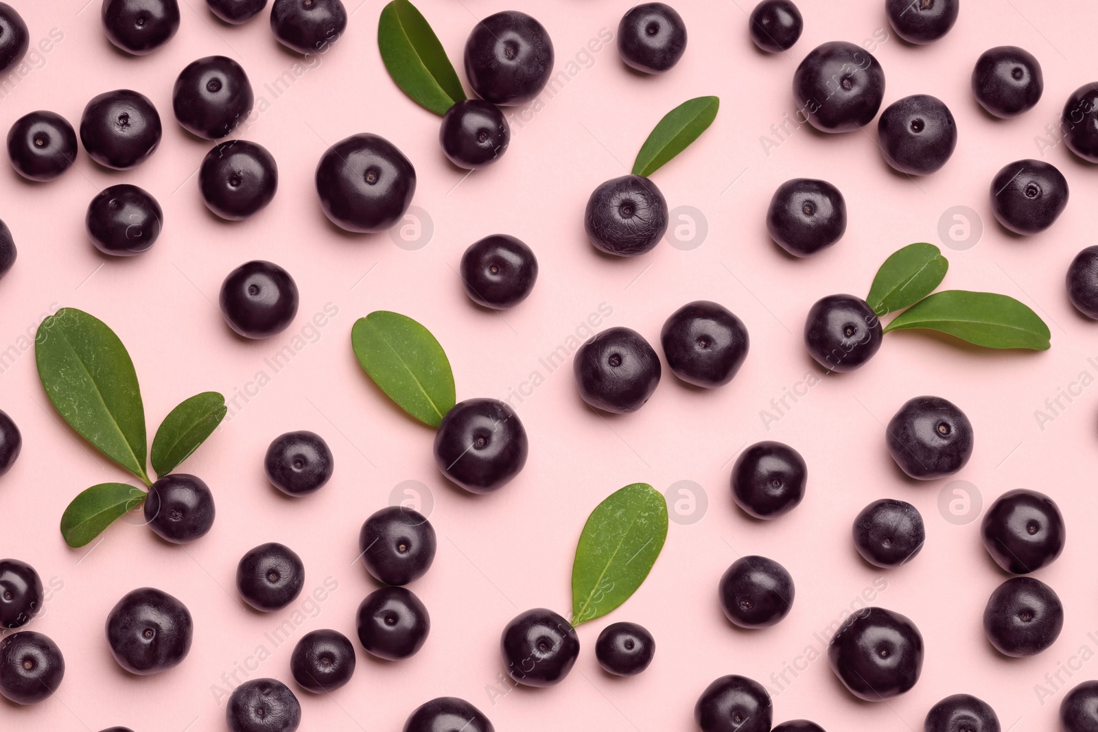 Photo of Ripe acai berries and leaves on pink background, flat lay