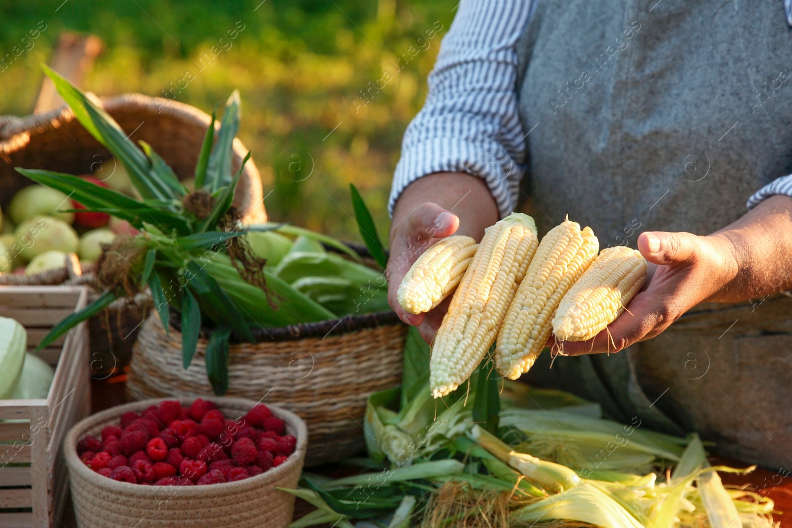 Photo of Senior farmer with different fresh products outdoors, closeup