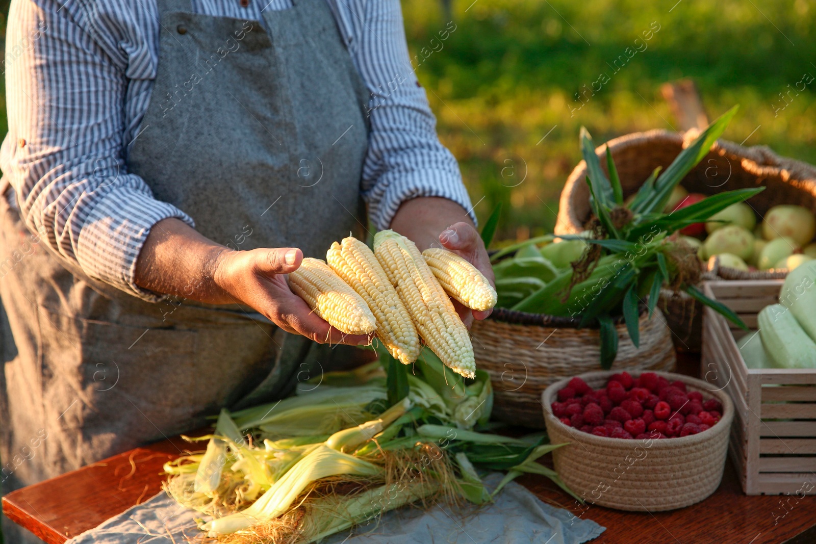 Photo of Senior farmer with different fresh products outdoors, closeup