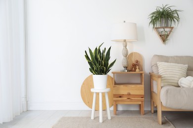 Stool, sofa, lamp and houseplants in room. Interior design