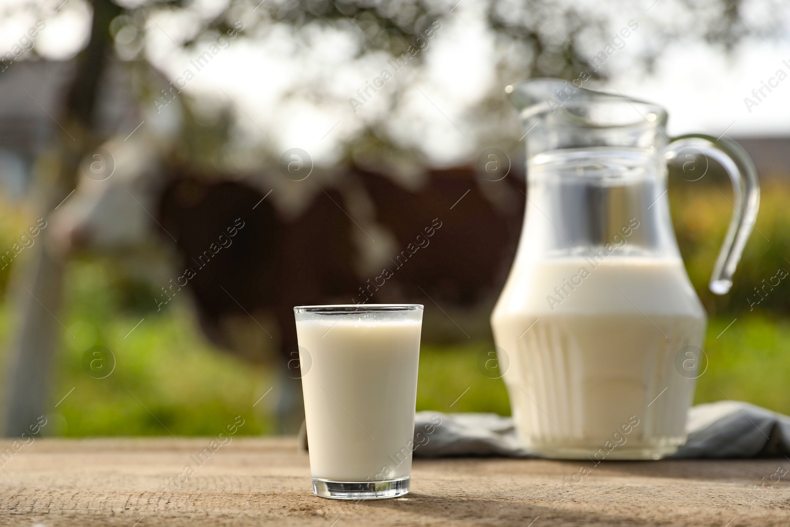 Photo of Fresh milk in jug and glass on wooden table outdoors