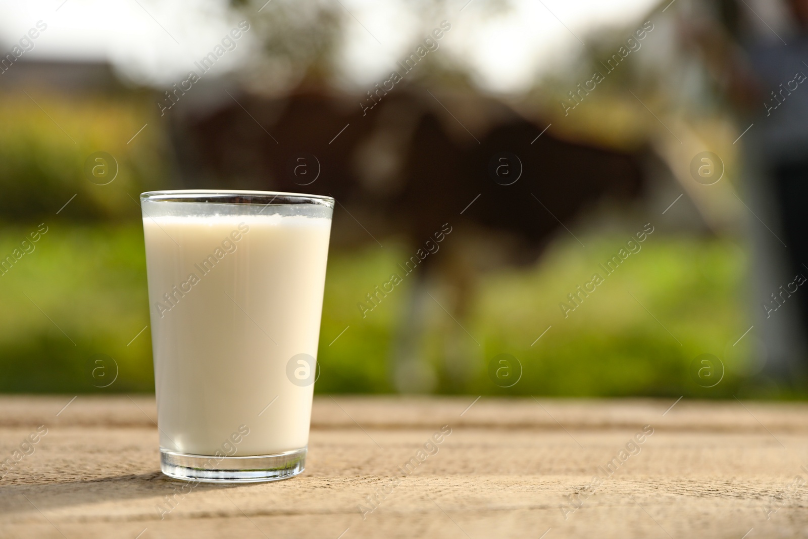 Photo of Fresh milk in glass on wooden table outdoors