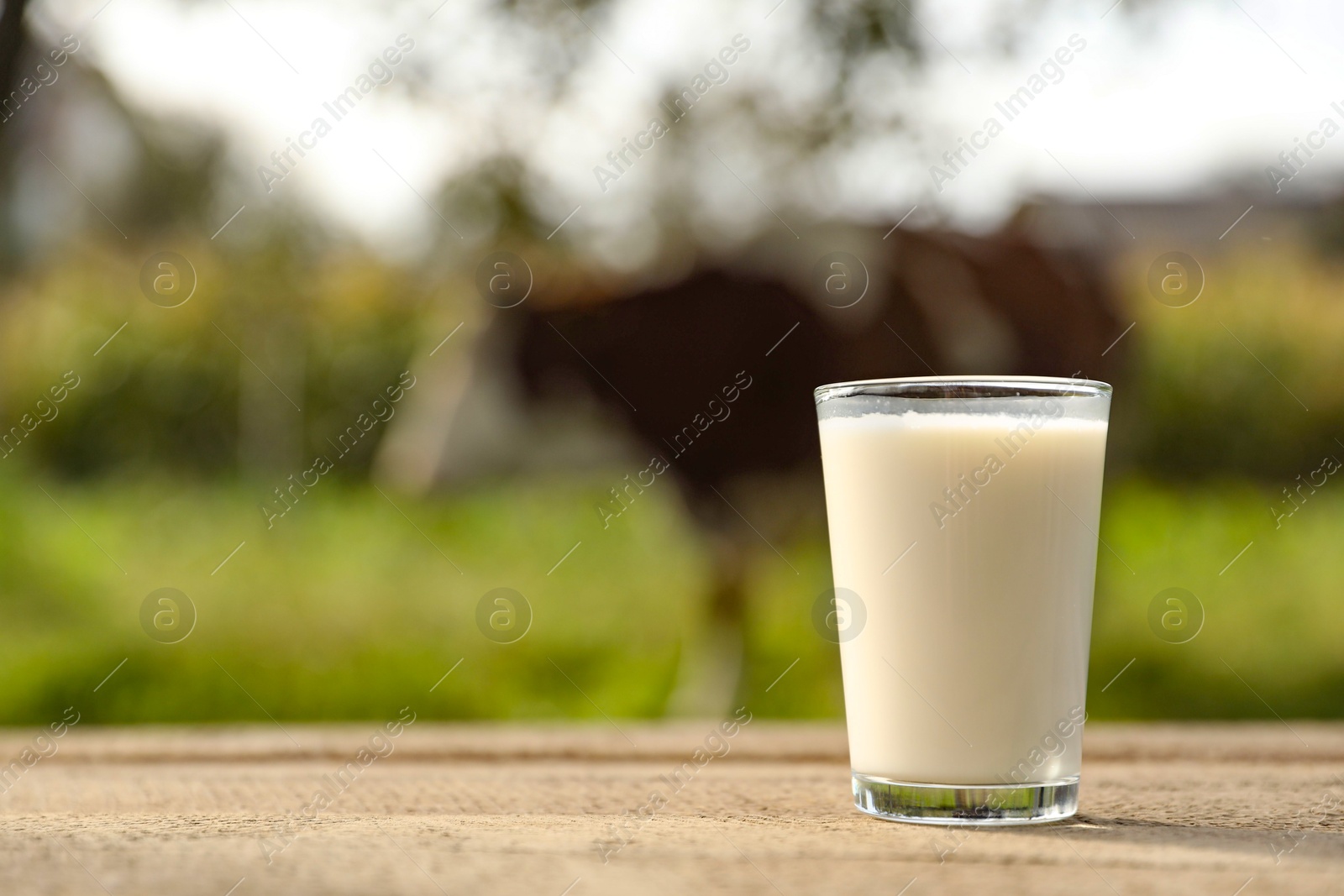 Photo of Fresh milk in glass on wooden table outdoors