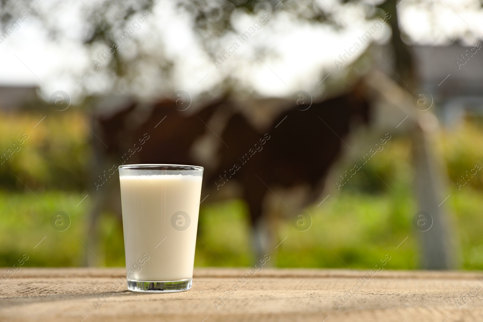 Photo of Fresh milk in glass on wooden table outdoors