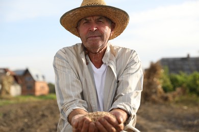 Senior man holding ripe wheat grains outdoors