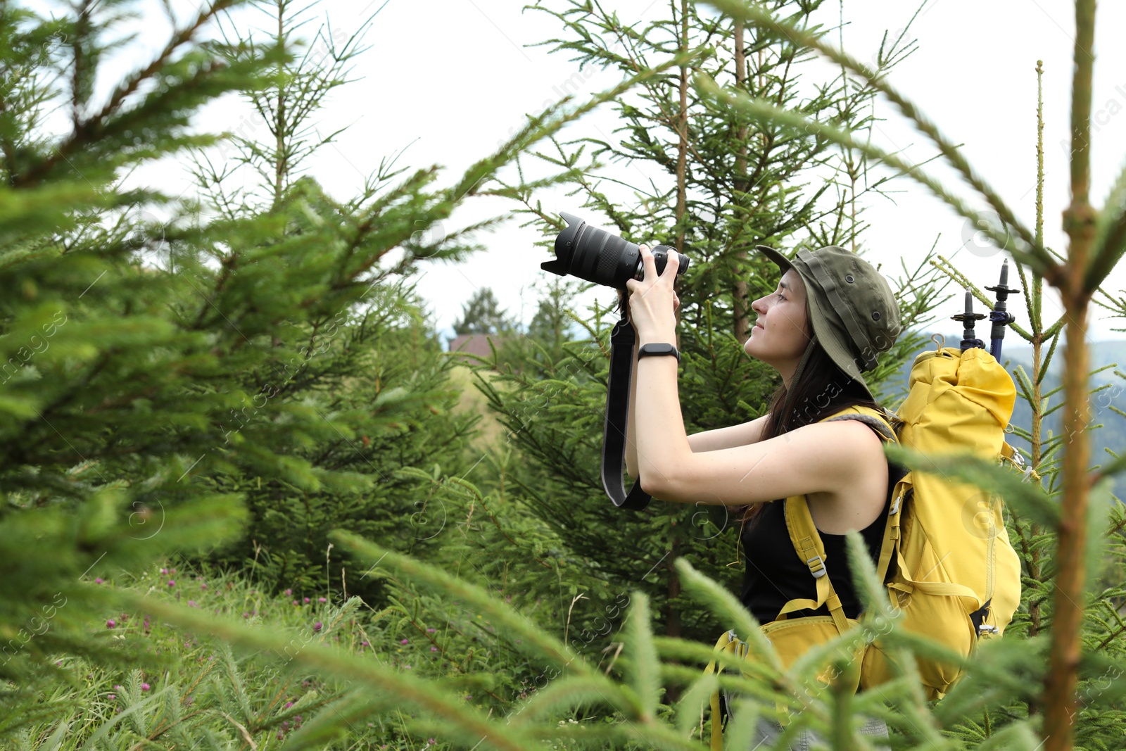 Photo of Young hiker with backpack and camera in forest, space for text