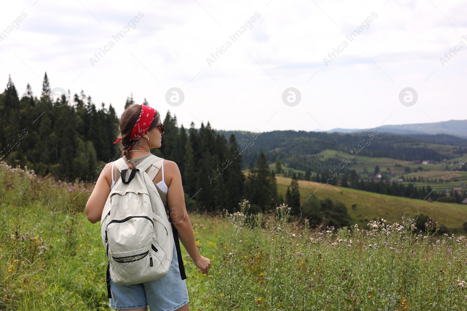 Photo of Tourist with backpack enjoying picturesque landscape, back view. Space for text