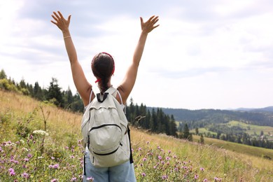 Tourist with backpack enjoying picturesque landscape with wide open arms, back view. Space for text