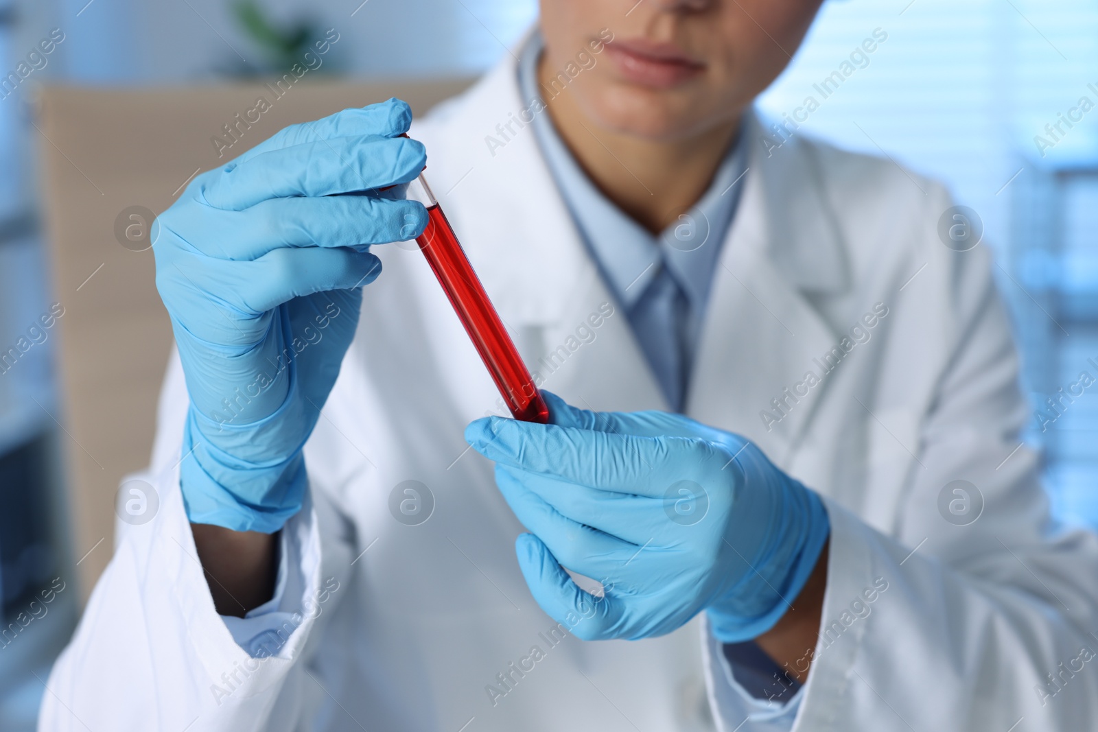 Photo of Laboratory testing. Doctor holding test tube with blood sample indoors, closeup