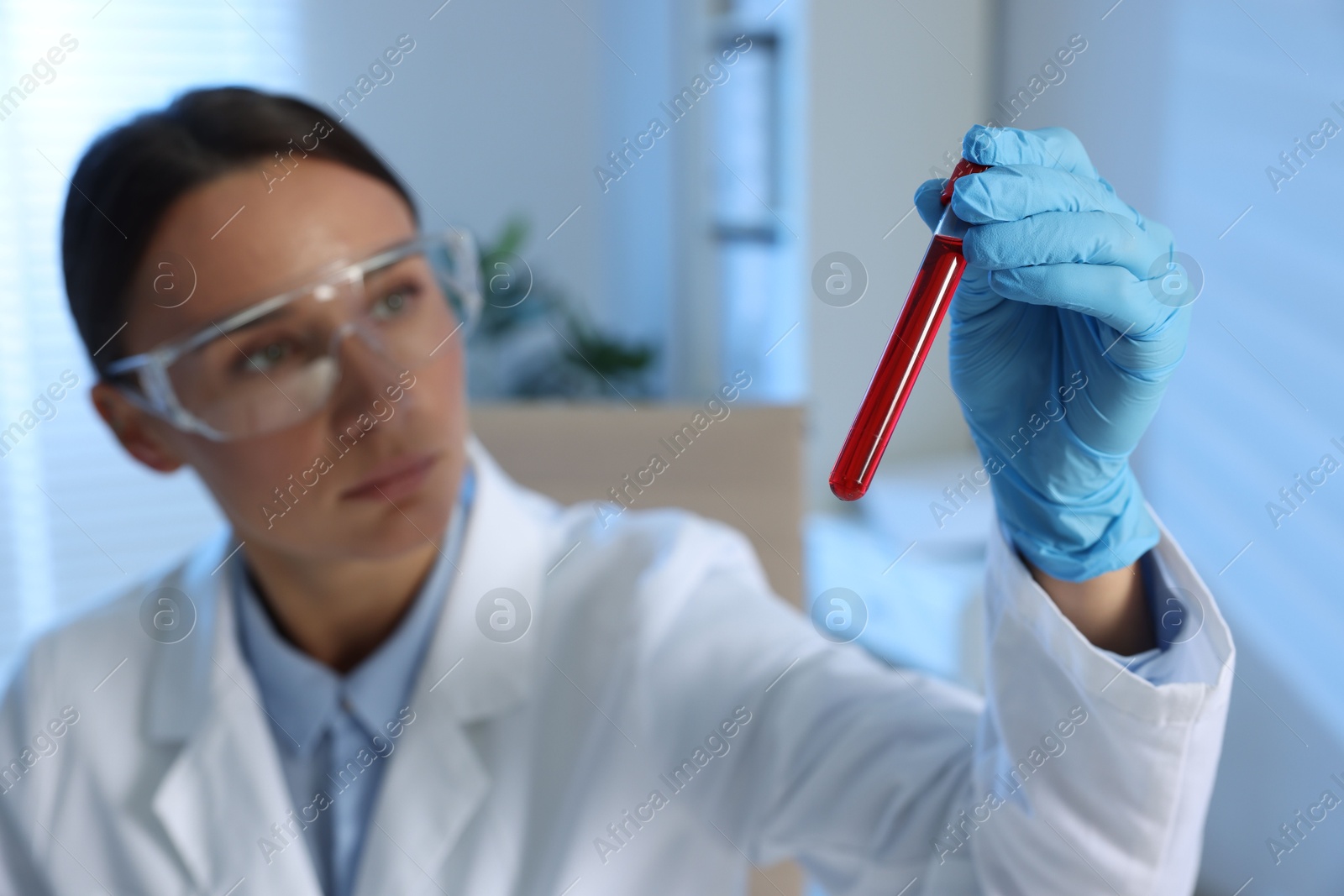 Photo of Laboratory testing. Doctor holding test tube with blood sample indoors, selective focus