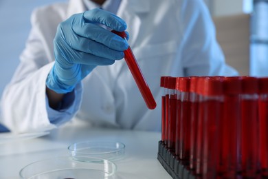 Photo of Laboratory testing. Doctor taking test tube with blood sample from rack at table indoors, closeup