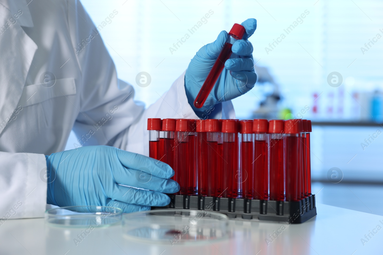 Photo of Laboratory testing. Doctor taking test tube with blood sample from rack at table indoors, closeup