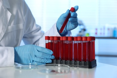 Photo of Laboratory testing. Doctor taking test tube with blood sample from rack at table indoors, closeup