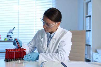 Laboratory testing. Doctor taking test tube with blood sample from rack at table indoors