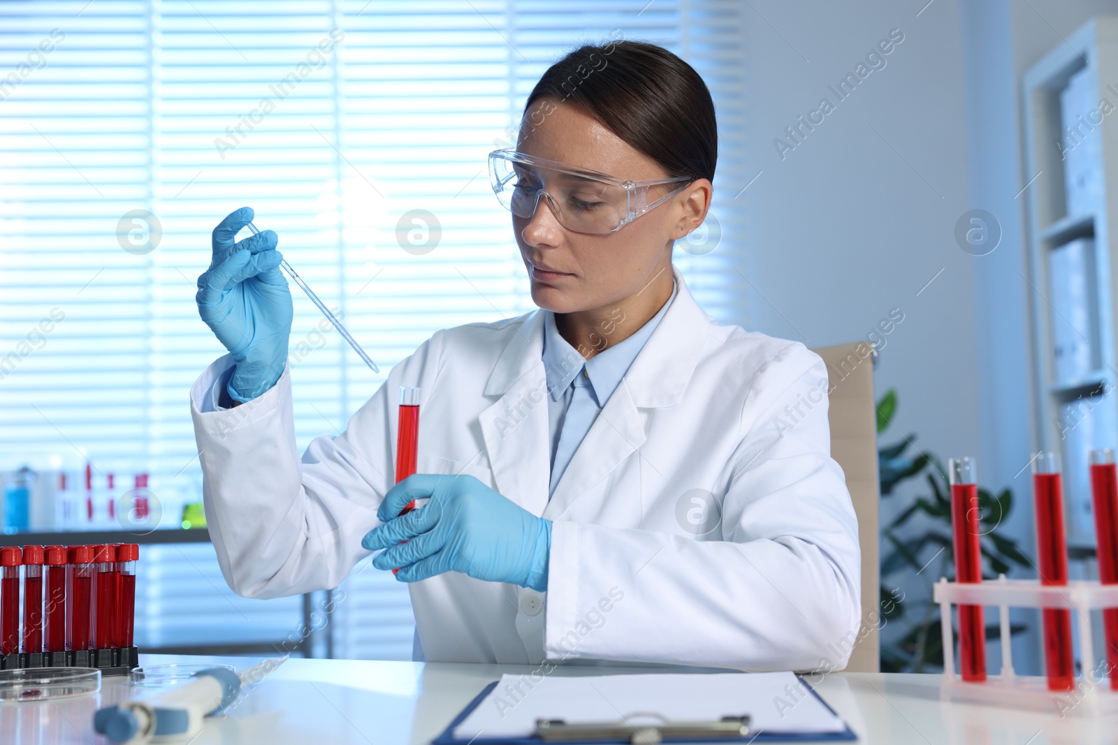 Photo of Laboratory testing. Doctor with blood sample and pipette at table indoors