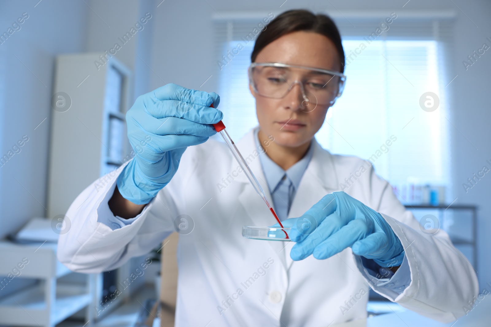 Photo of Laboratory testing. Doctor dripping blood sample into Petri dish indoors, selective focus