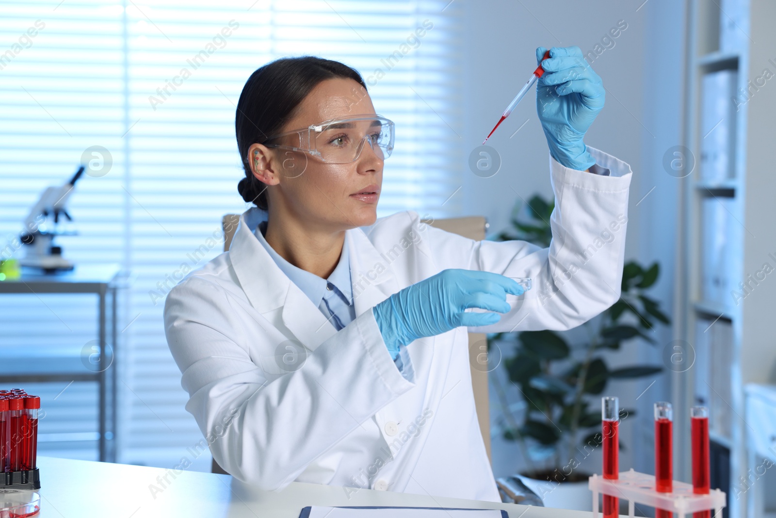 Photo of Laboratory testing. Doctor dripping blood sample into Petri dish indoors