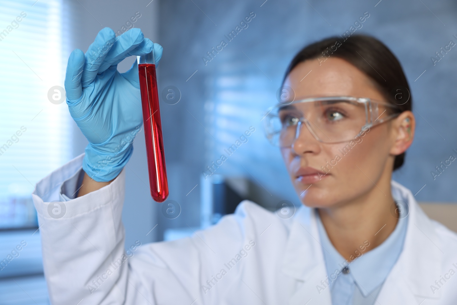 Photo of Laboratory testing. Doctor holding test tube with blood sample indoors, selective focus