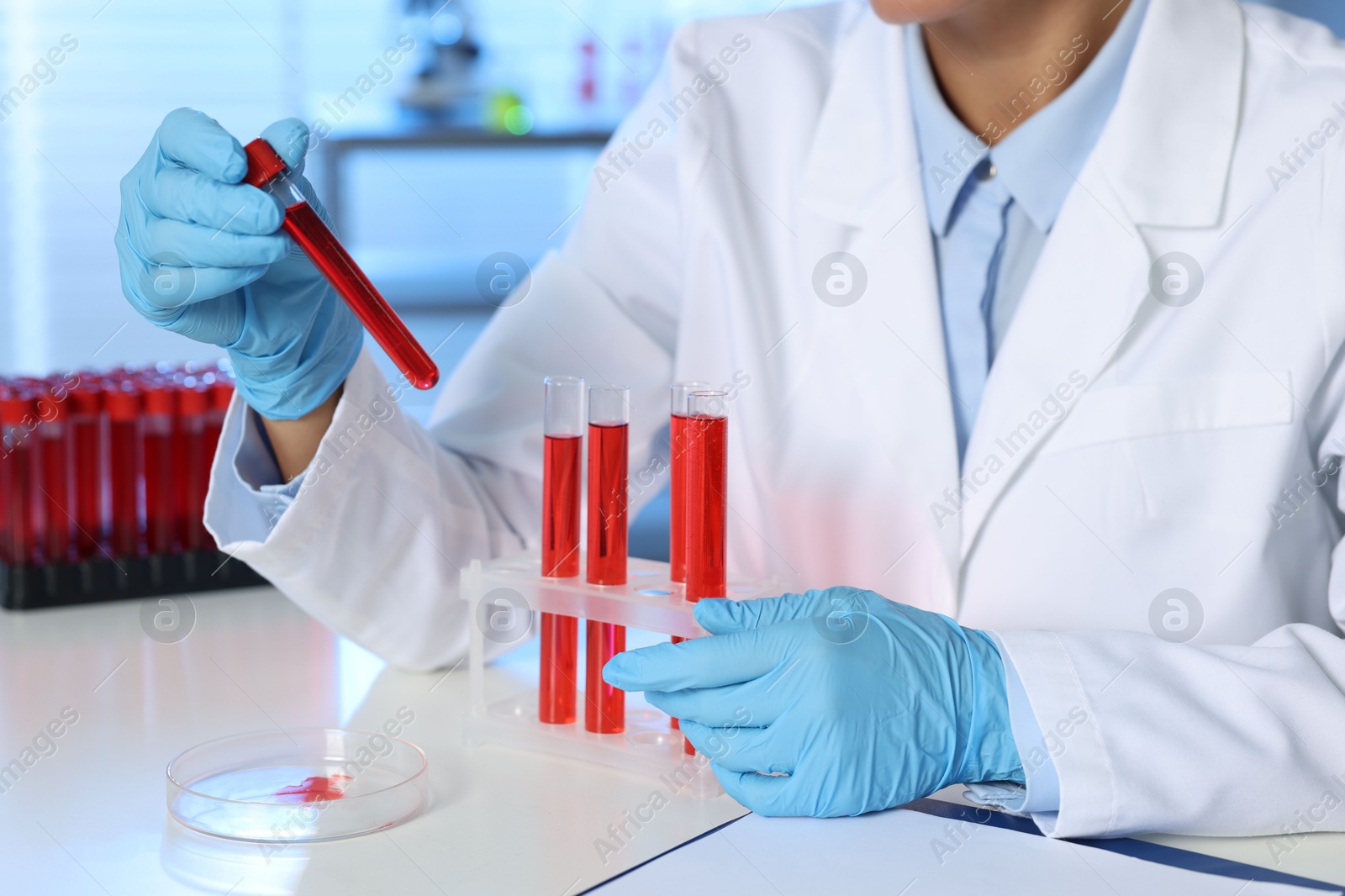 Photo of Laboratory testing. Doctor with blood samples at table indoors, closeup