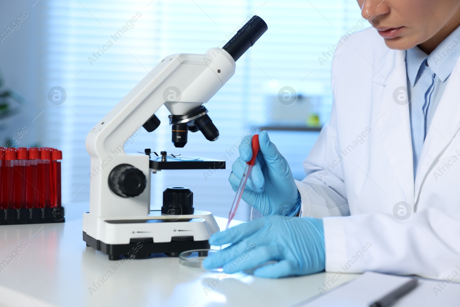 Photo of Laboratory testing. Doctor dripping blood sample into Petri dish at table indoors, closeup