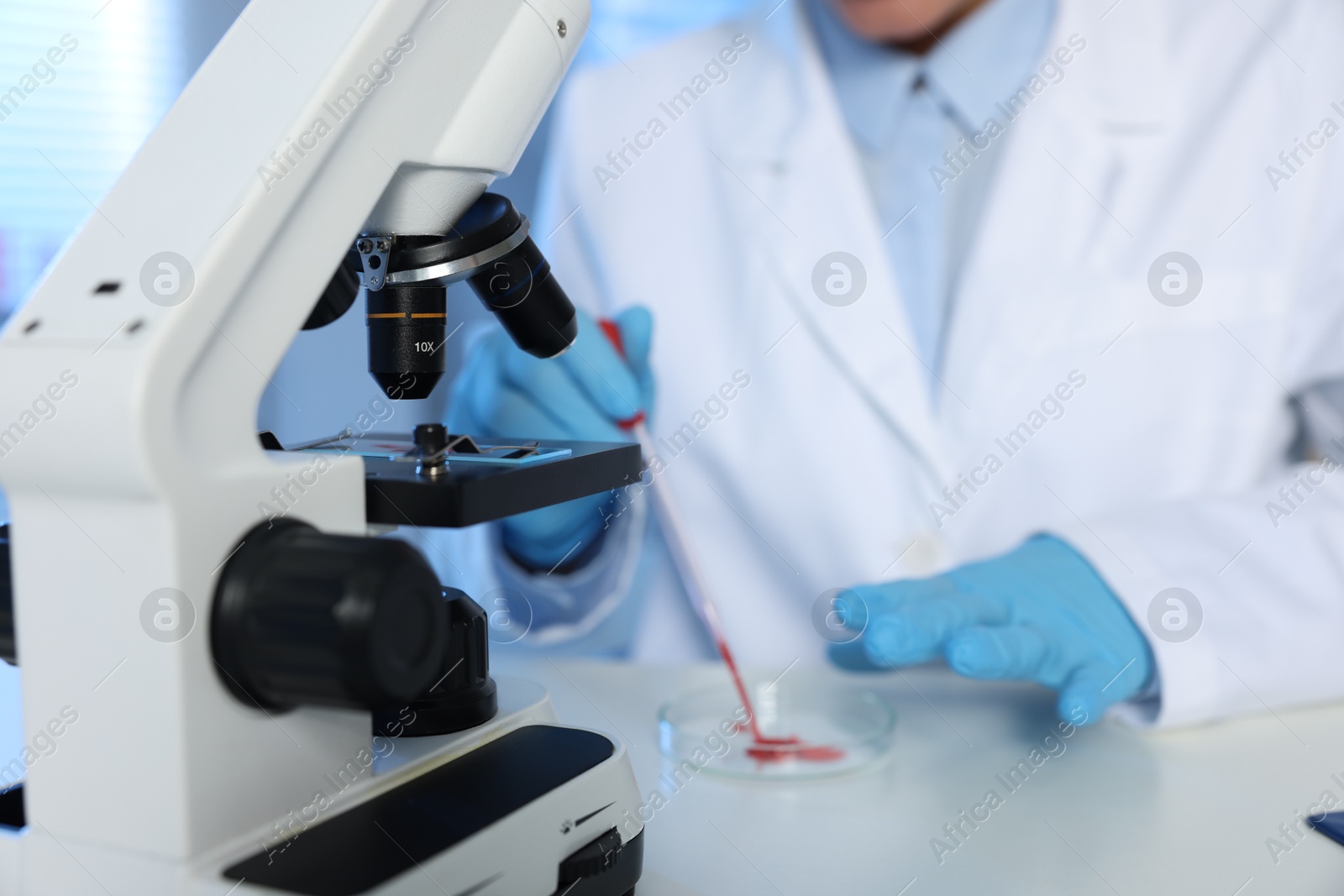 Photo of Laboratory testing. Doctor dripping blood sample into Petri dish indoors, closeup