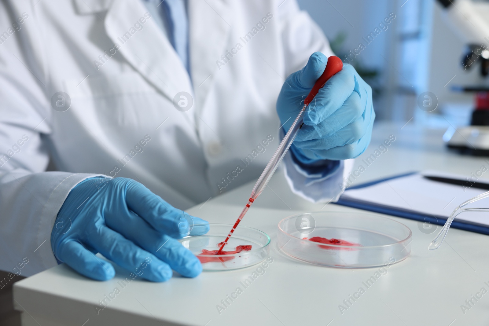 Photo of Laboratory testing. Doctor dripping blood sample into Petri dish indoors, closeup