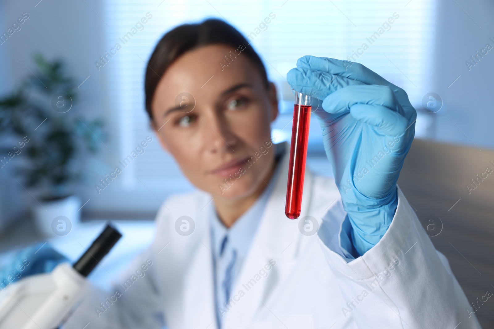 Photo of Laboratory testing. Doctor holding test tube with blood sample indoors, selective focus