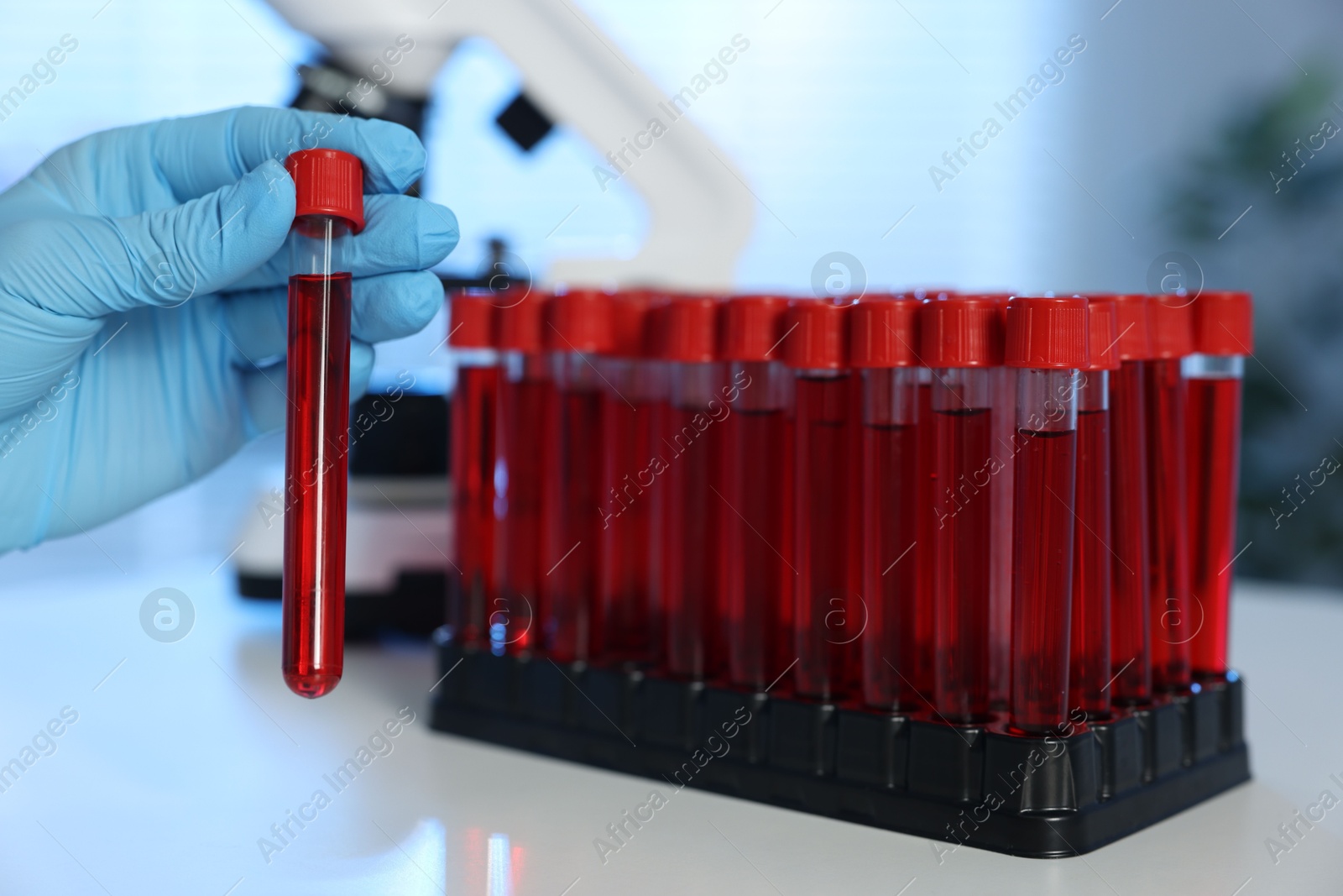 Photo of Laboratory testing. Doctor holding test tube with blood sample at table indoors, closeup