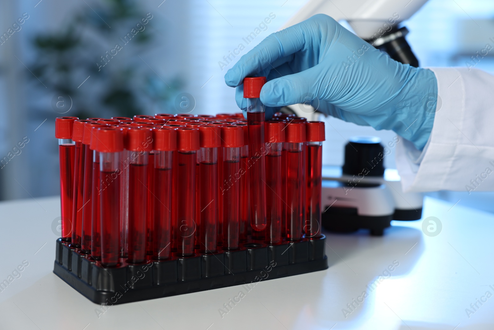 Photo of Laboratory testing. Doctor taking test tube with blood sample from rack at table indoors, closeup