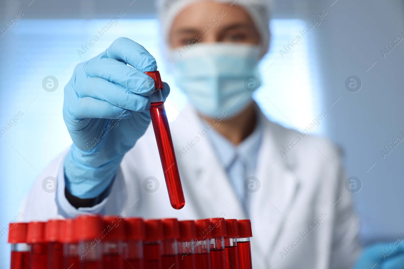 Photo of Laboratory testing. Doctor holding test tube with blood sample indoors, selective focus