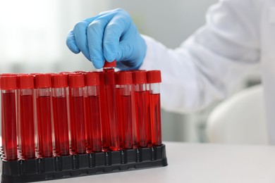 Photo of Laboratory testing. Doctor taking test tube with blood sample at table indoors, closeup