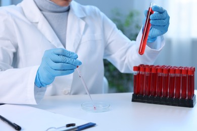 Laboratory testing. Doctor with test tube dripping blood sample into Petri dish at table indoors, closeup