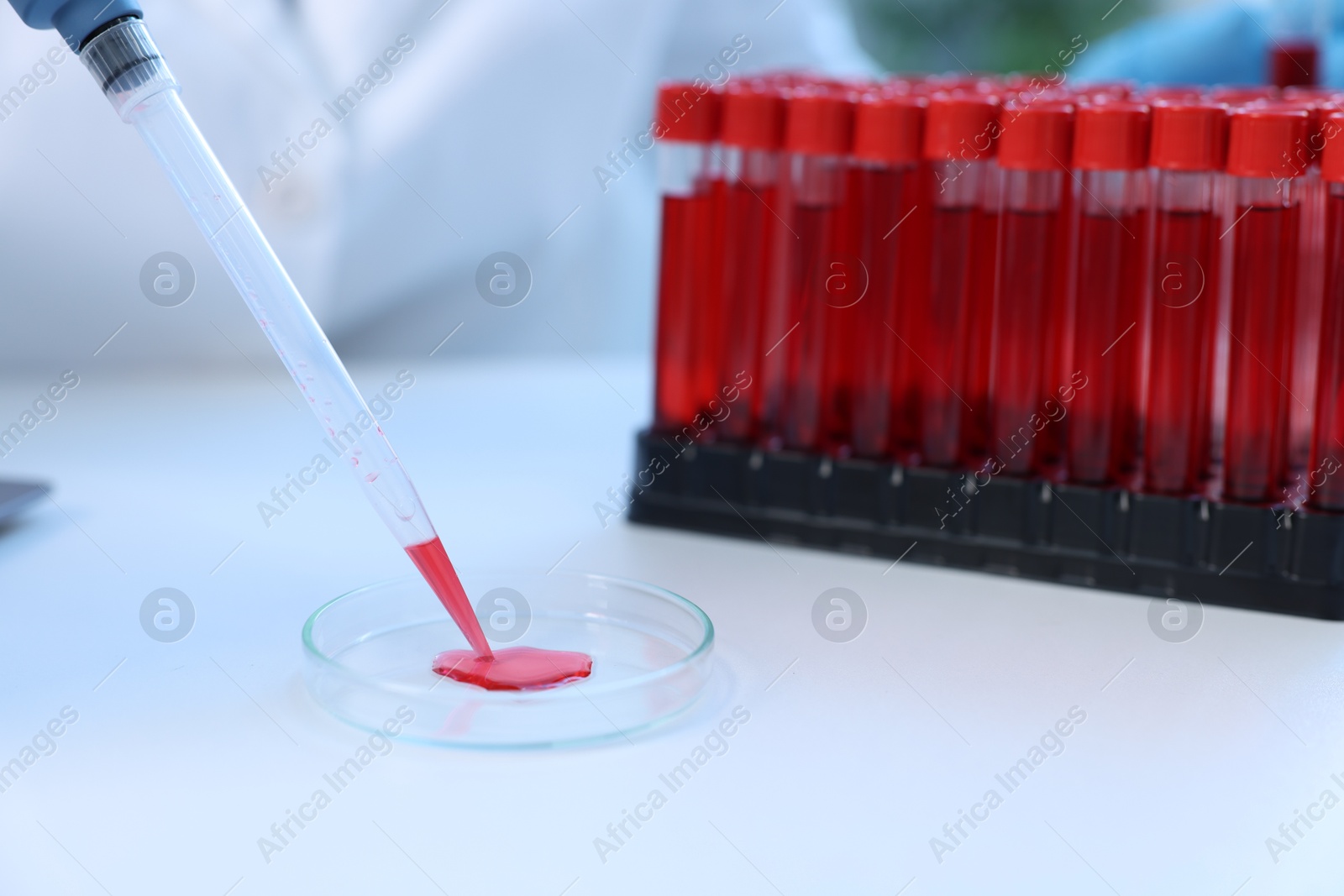 Photo of Laboratory testing. Dripping blood sample into Petri dish at table indoors, closeup