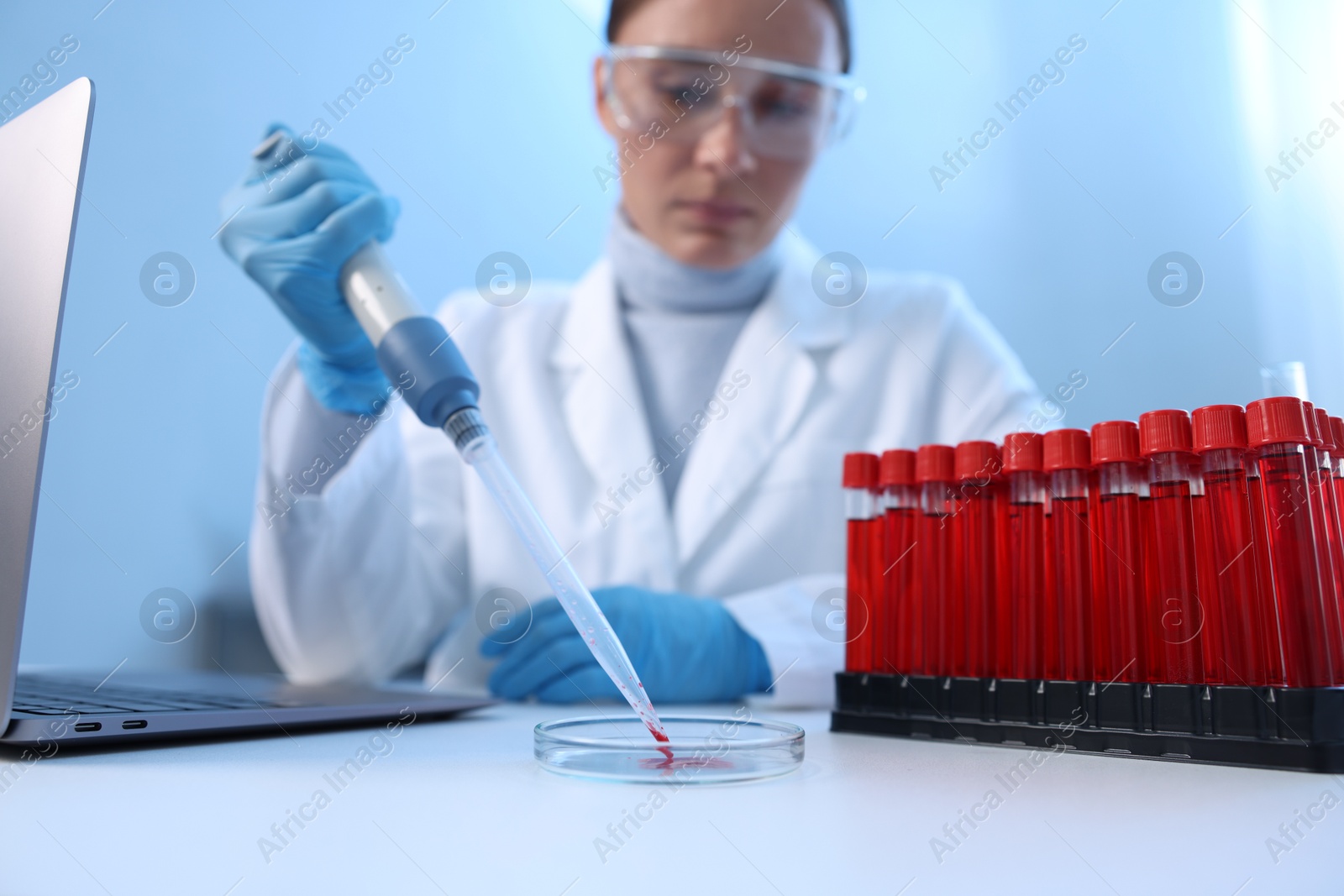 Photo of Laboratory testing. Doctor dripping blood sample into Petri dish at table indoors, selective focus