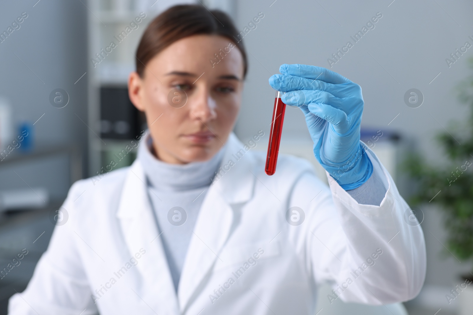 Photo of Laboratory testing. Doctor holding test tube with blood sample indoors, selective focus