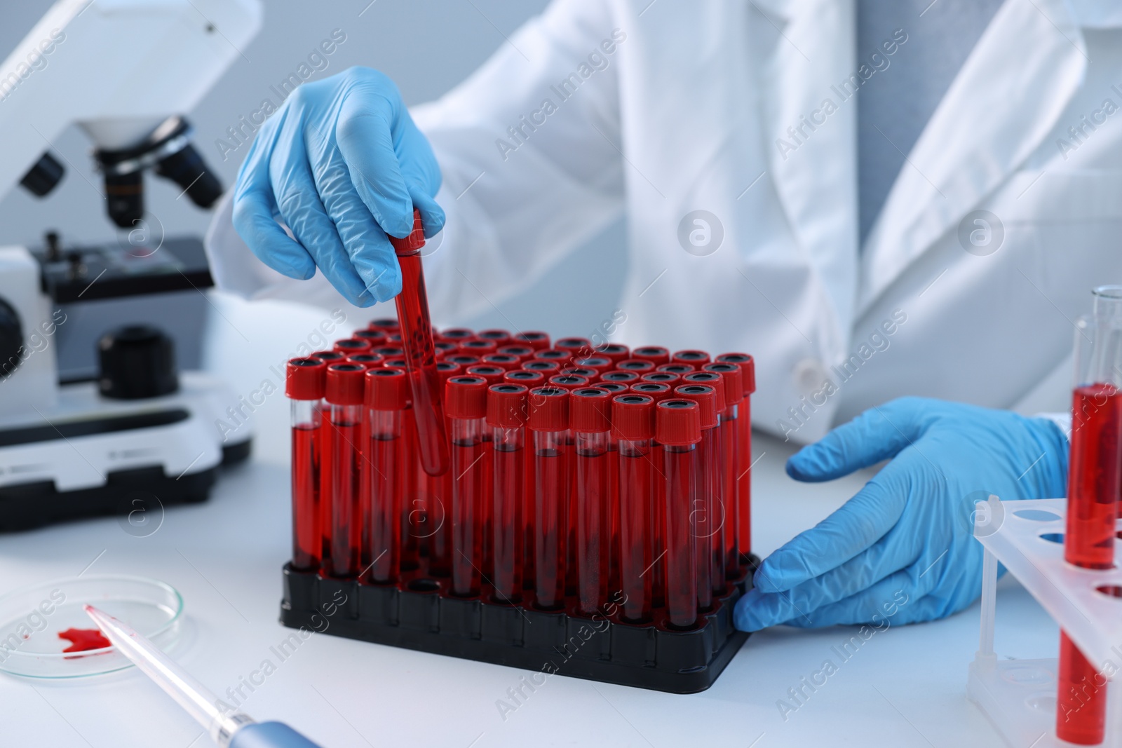 Photo of Laboratory testing. Doctor taking test tube with blood sample at table indoors, closeup