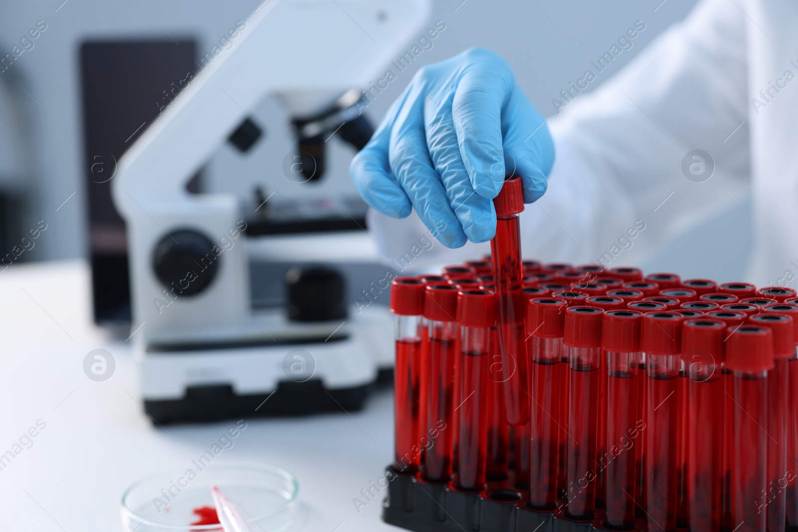 Photo of Laboratory testing. Doctor taking test tube with blood sample at table indoors, closeup