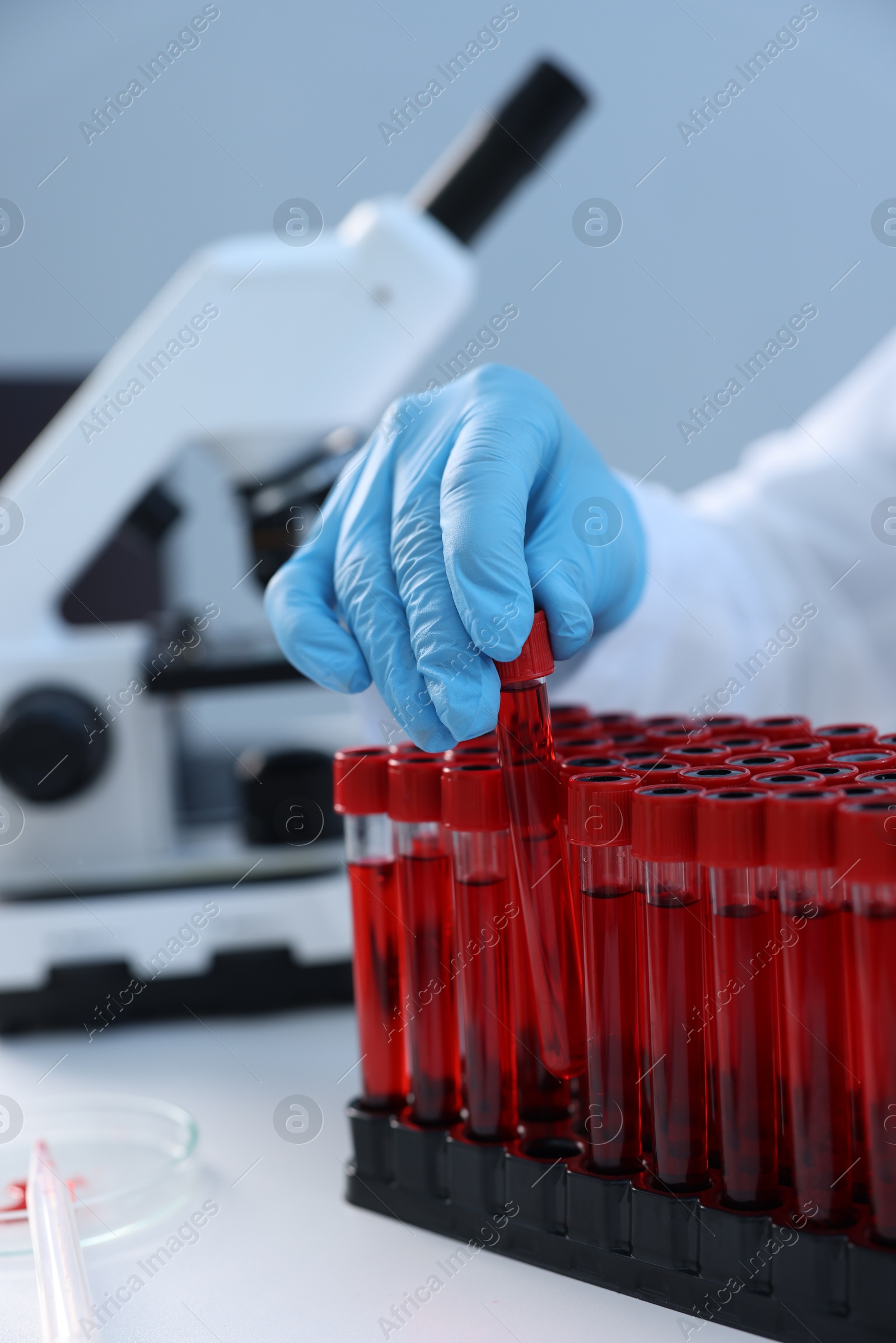 Photo of Laboratory testing. Doctor taking test tube with blood sample at table indoors, closeup