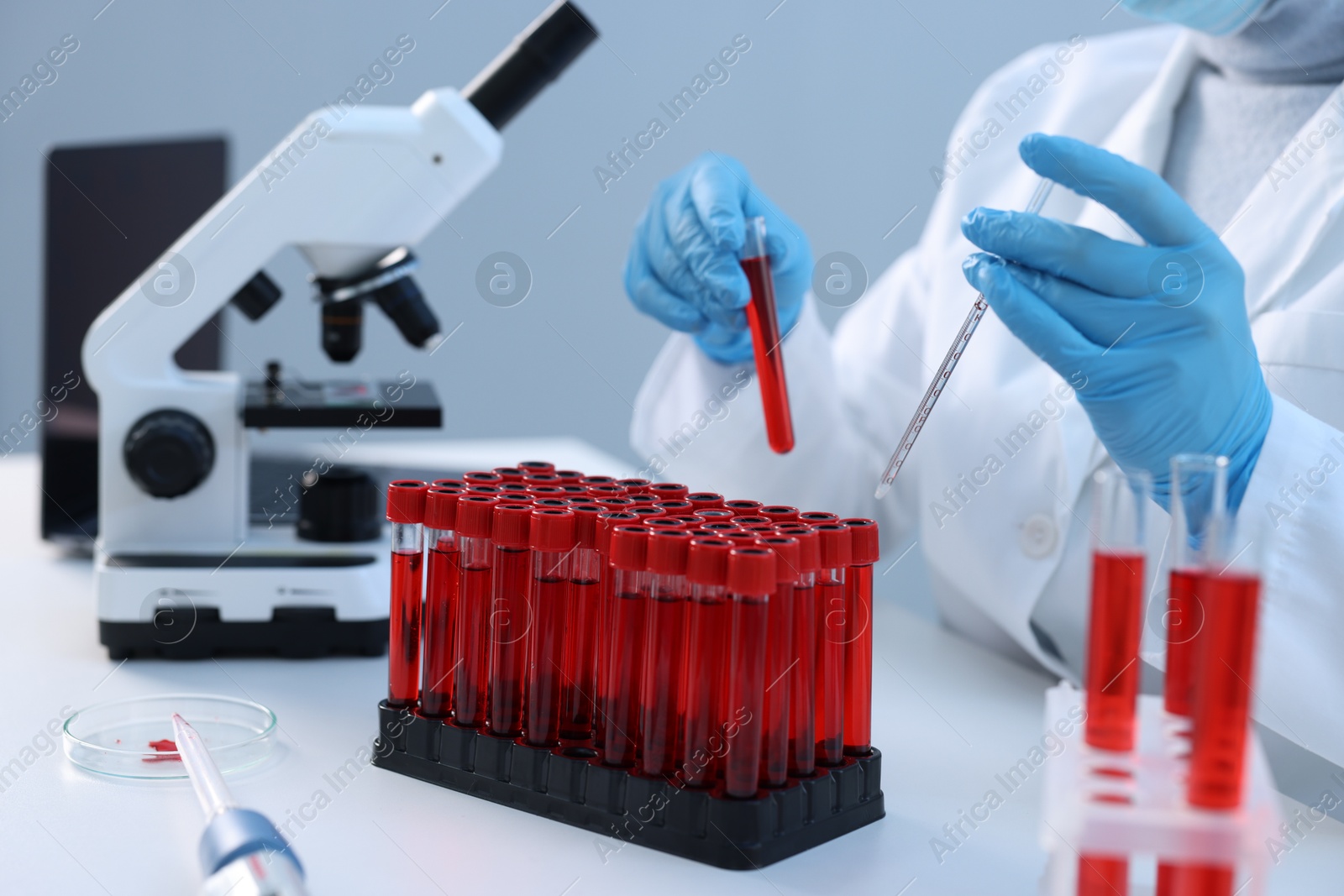 Photo of Laboratory testing. Doctor holding test tube with blood sample and pipette at table indoors, closeup