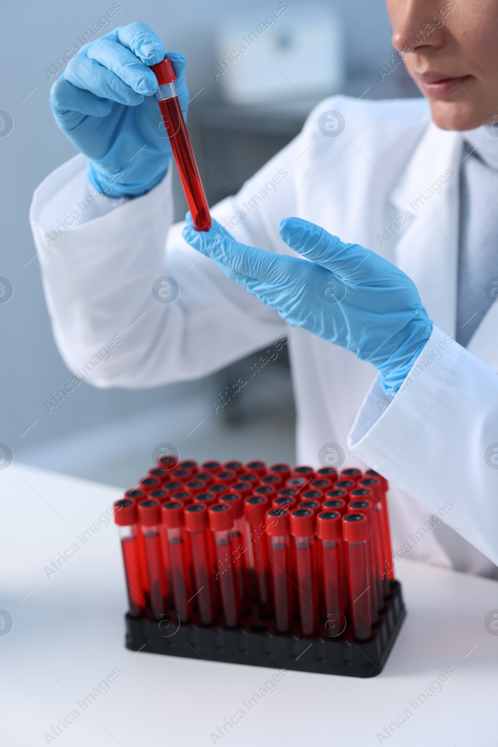 Photo of Laboratory testing. Doctor holding test tube with blood sample at table indoors, closeup