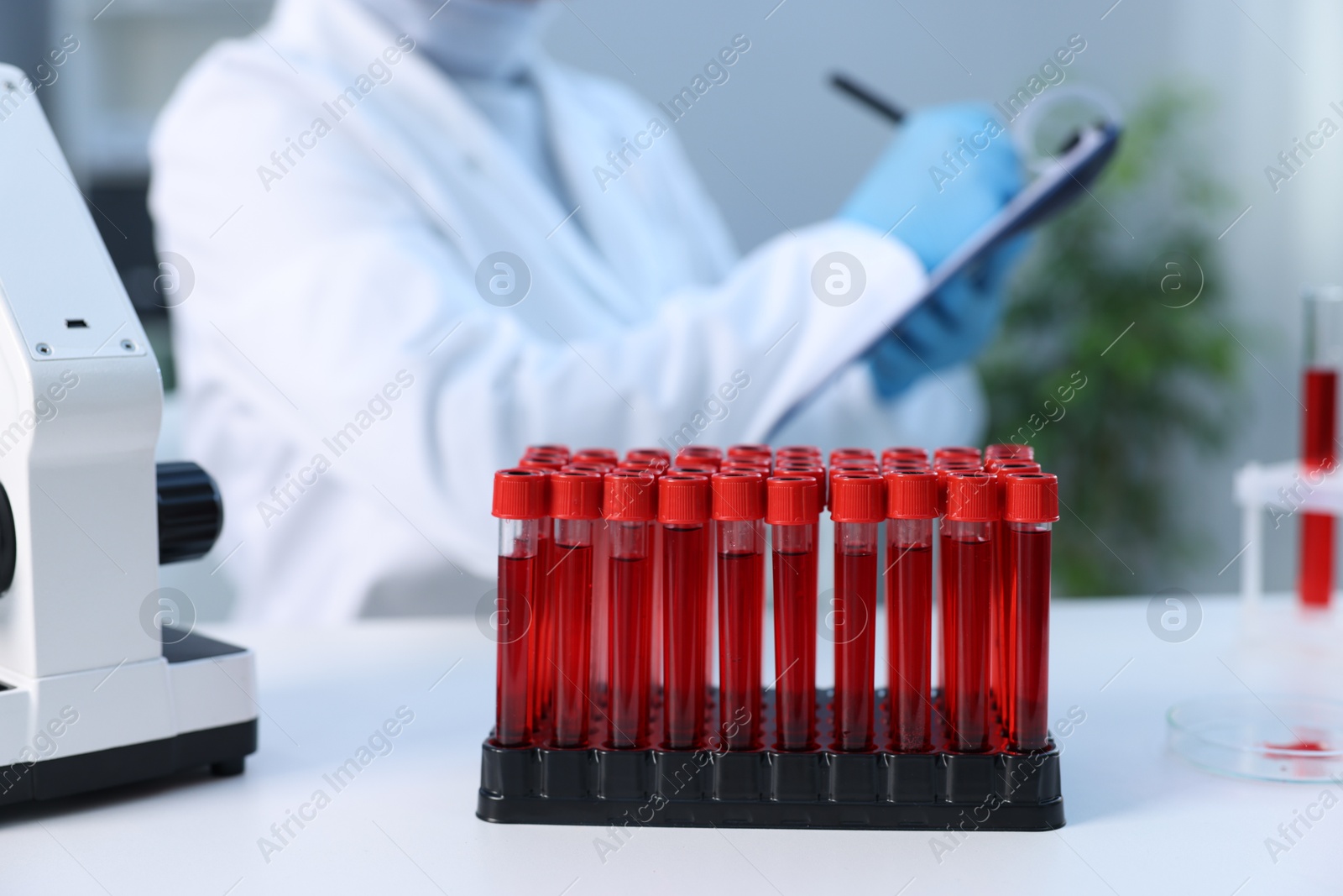 Photo of Laboratory testing. Doctor taking notes at table indoors, focus on test tubes with blood samples