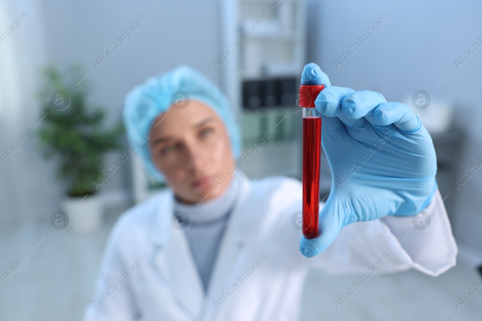 Photo of Laboratory testing. Doctor holding test tube with blood sample indoors, selective focus