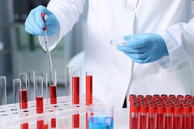 Laboratory testing. Doctor dripping blood sample into test tube indoors, closeup