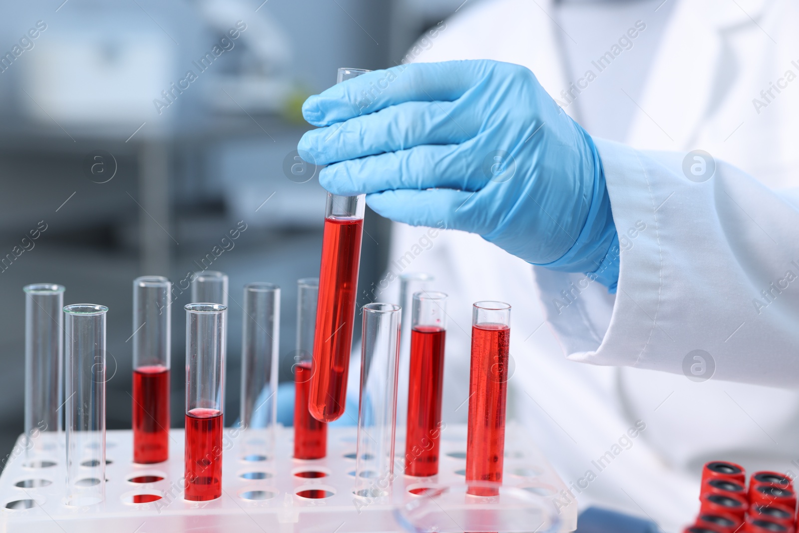 Photo of Laboratory testing. Doctor taking test tube with blood sample from rack indoors, closeup