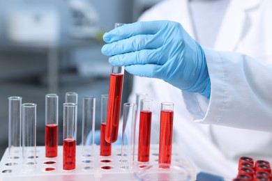 Laboratory testing. Doctor taking test tube with blood sample from rack indoors, closeup